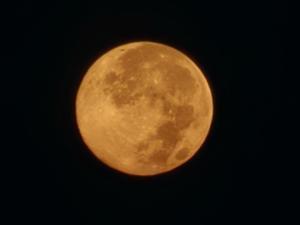 神秘的な朝 - メイフェの幸せ＆美味しいいっぱい～旅するように暮らす毎日