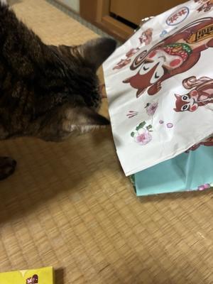 チェリーちゃんねる第３章