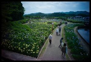 Nostalgia through a LEICA