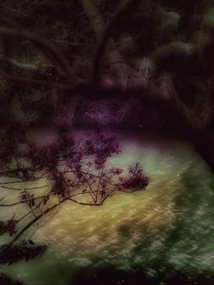 今こそ出発点。湯浅修治