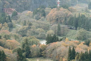 ねこの撮った汽車