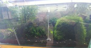 2025.12.05.金曜日