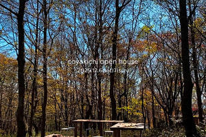 プロトハウス通信   - Stedsans［ステッドサンス］-