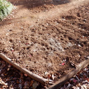 山梨県北杜市明野町　ナナミちゃんのお宿日記