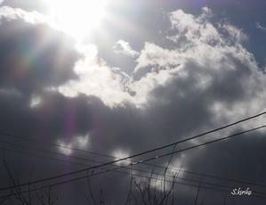 ローカル吟遊俳句