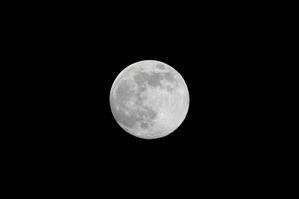 Cold Moon 2025.12.04-05