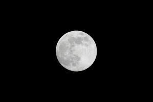 Cold Moon 2025.12.04-05