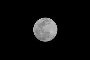 Cold Moon 2025.12.04-05
