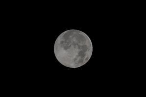 Cold Moon 2025.12.04-05
