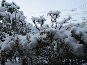 夢見るポンコツ夫婦②