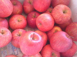 おやく- 桐生発、佳寿ひらかたオリジナルおやきブログ