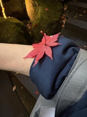 いちじく日記＊てんかんをご存知？＊