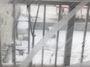 ///バティックあれこれ日記///