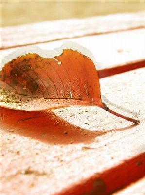 文箱（ふばこ）