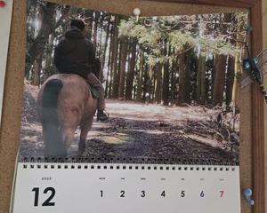 大阪 兵庫 京都 関西 乗馬 関西 ホーストレッキング マリンズステーブル