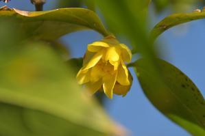 今日もカメラを手に･･･♪　part3