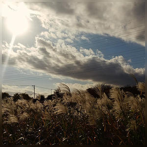 まじゅらーしんがぷら2