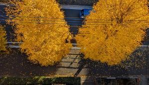 日々是好日　時々旅日記
