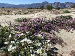 歳をとる事の難しさ - 夢と現実の狭間