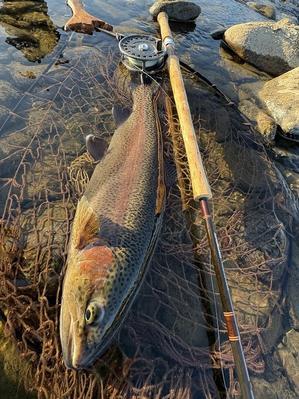 Fly Shop Loop to Loop Blog