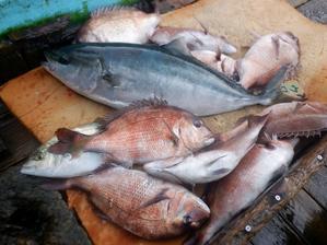 海上釣堀フィッシングレインボー