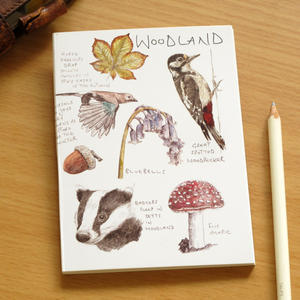 ブルーベルの森 ブログ 英国の自然を愛するアーティストから直輸入