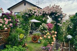 薪割りマコのバラの庭