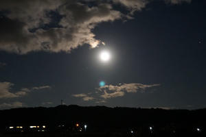 吾作のあぜみち散歩