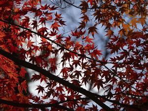 週末は瀬音を聞きながら