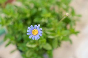 手のじ行くバイ