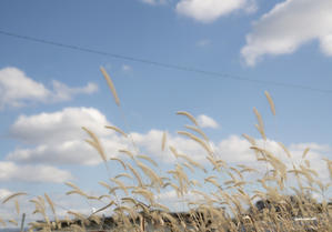 おもいつきフォトノ-ト