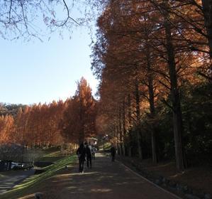 小高い丘の麓から
