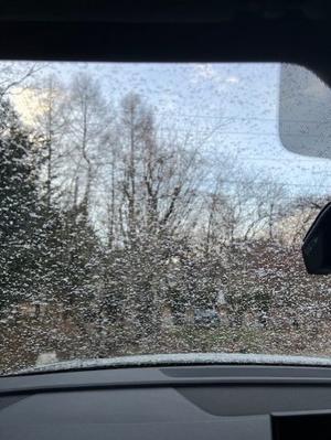 Fran とDomagkのシルバーライフ