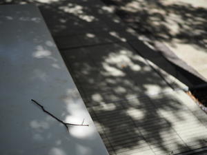 日記のような写真を２