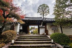 Blowin dans le vent*