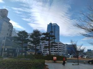 ＮＰＯ法人セラピア函館代表ブログ　セラピア自然農園栽培日記