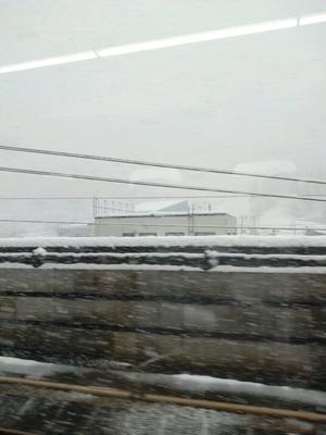 ＮＰＯ法人セラピア函館代表ブログ　セラピア自然農園栽培日記