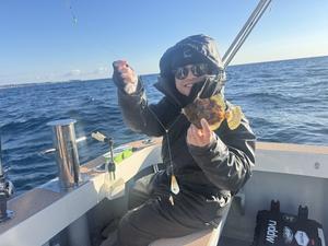 志摩沖 ほっぺ毛丸