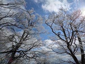 そうだ！山に登ろう