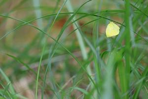 ネイチャーギャラリー4