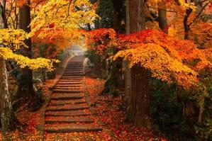 まっちゃんのＰＨＯＴＯブログ