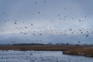 デジタルで見ていた風景