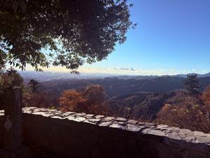 パンとお菓子と美味しい時間　（パン教室ココット）