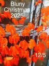 次回のBlunyは…         '25 12/4.5.6.7 Christmas Bluny - 12月のBluny2日目