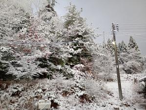 jijibabaのお気楽田舎暮らし