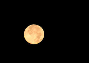 湘南大磯の海 デジタル写真館 。