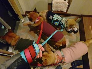 Always Tiida in the mind