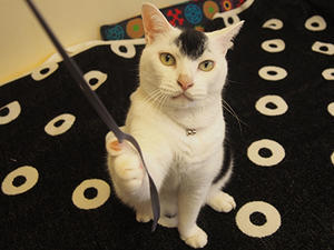 Se・tsｕ・na的日常