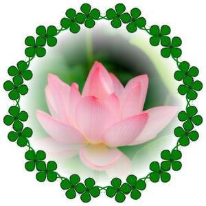 sinia20231015's Blog