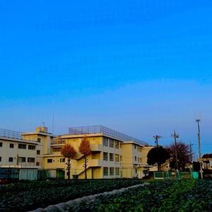 毎日jogjob日誌 by東良美季